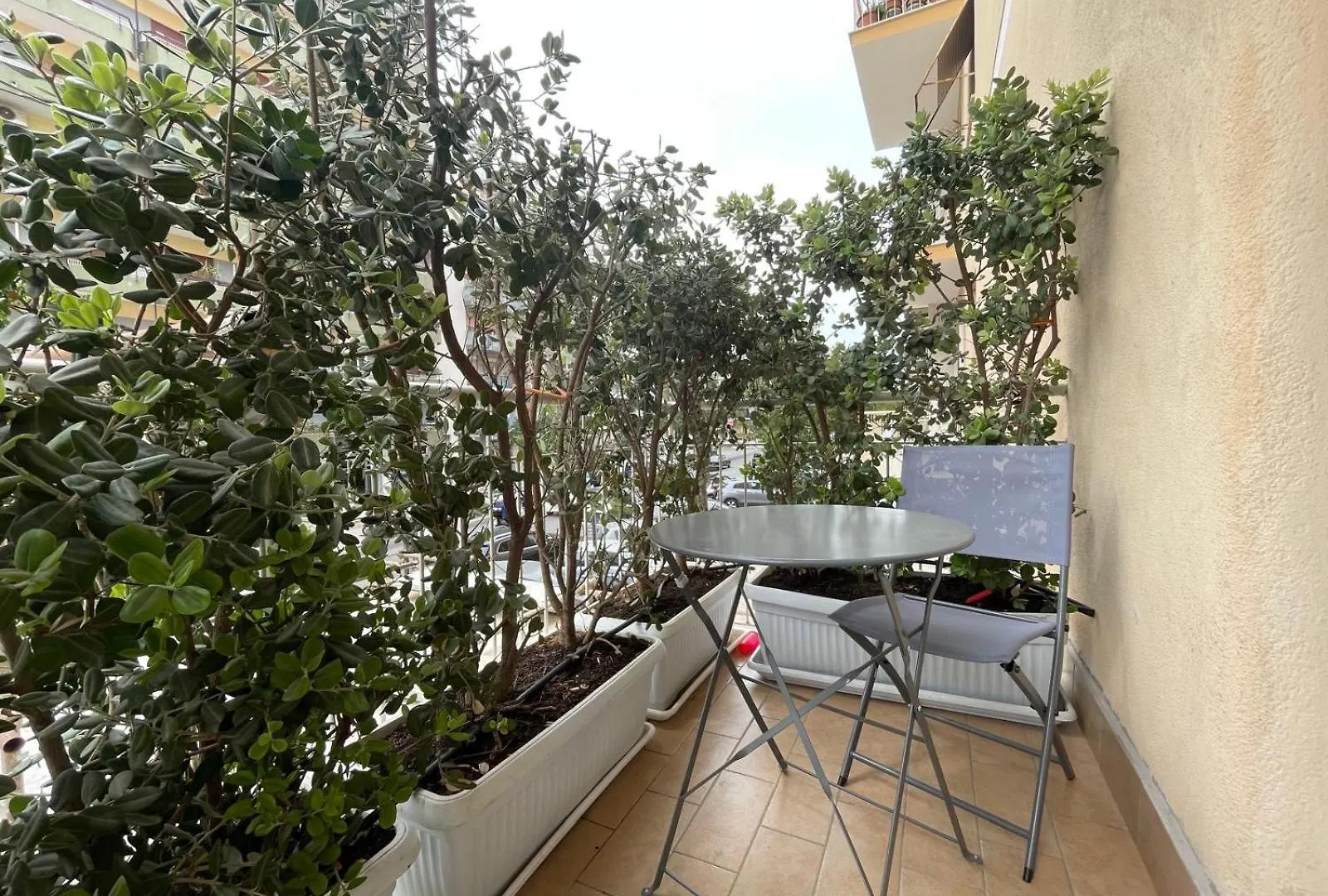 Lazio Apartment Nel Centro Di Palermo